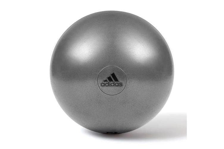 Adidas Gym Ball - 65cm - Grey